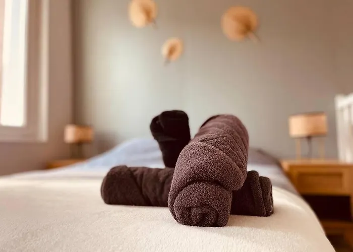 L'ecrin De Douceur - Duplex Proche Gare